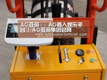 AG亚游案例展示三