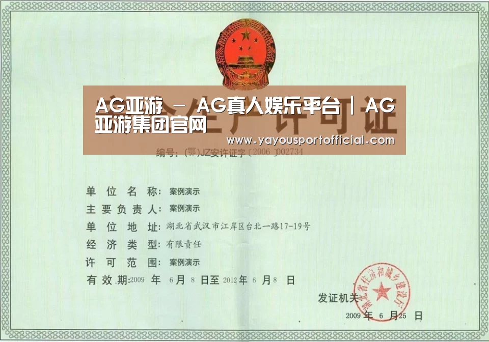 AG亚游荣誉证书三