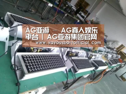 AG亚游案例展示一