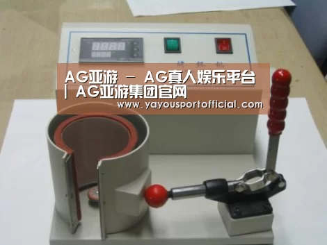 AG亚游案例展示六