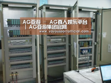 AG亚游案例展示五(图1)