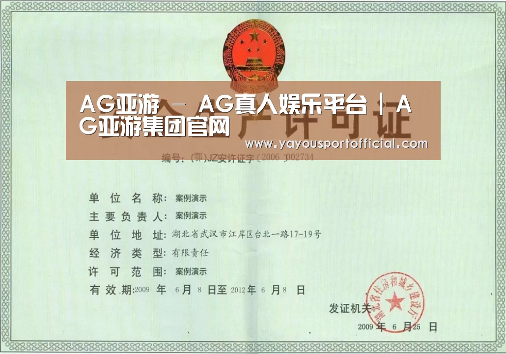 AG亚游荣誉证书三(图1)
