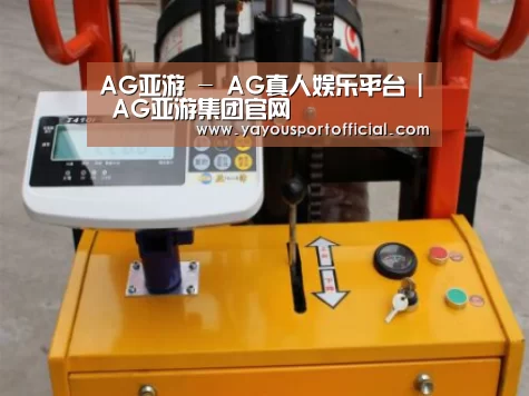 AG亚游案例展示三(图1)