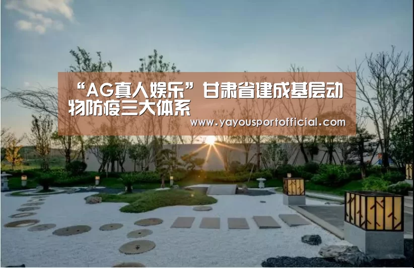 AG真人