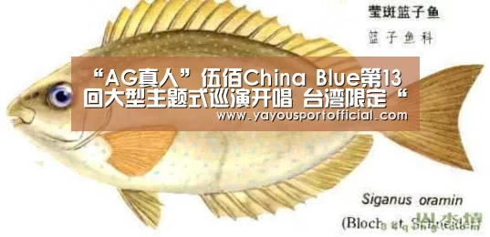 “AG真人”伍佰China Blue第13回大型主题式巡演开唱 台湾限定“透南风”再创新标竿(图1) AG亚游