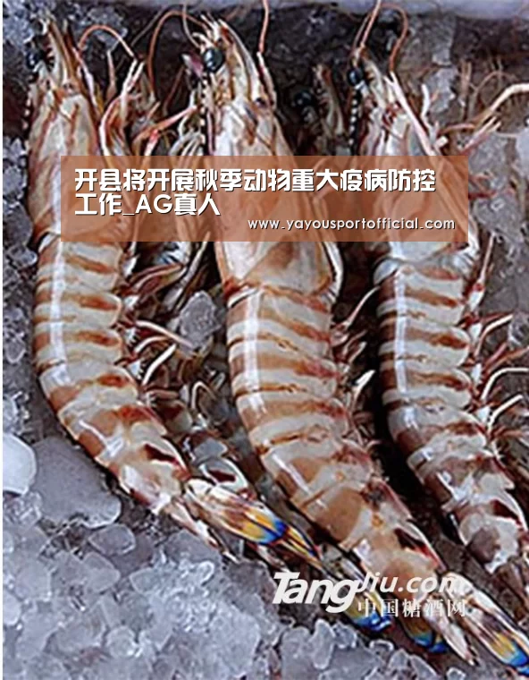 开县将开展秋季动物重大疫病防控工作_AG真人(图1) AG真人娱乐