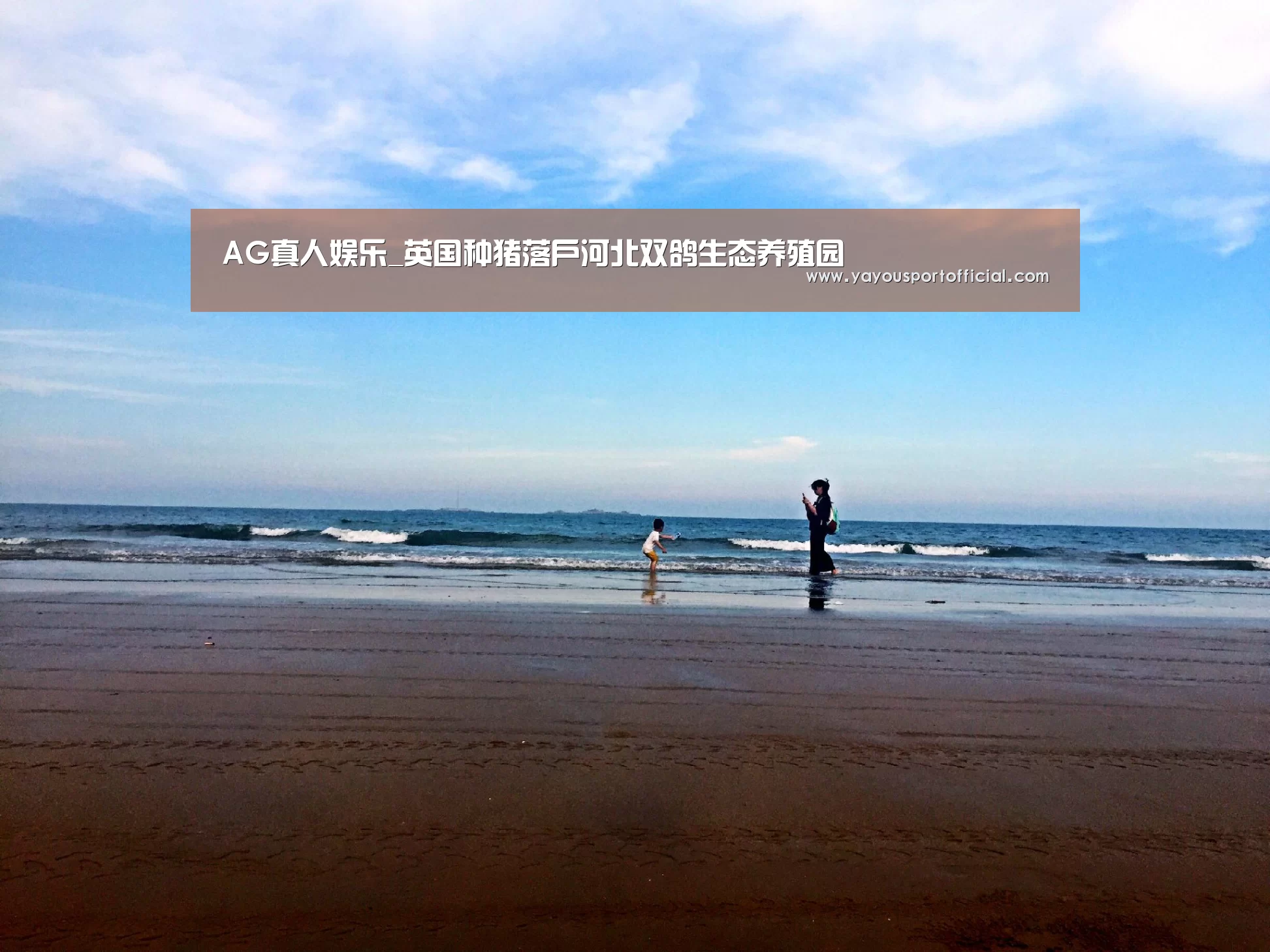 AG真人娱乐_英国种猪落户河北双鸽生态养殖园(图3) AG体育